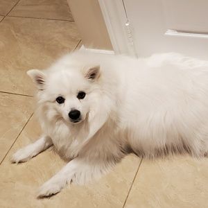 Meet your Posher, Fiona